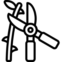 /images/icons/astschere.png
